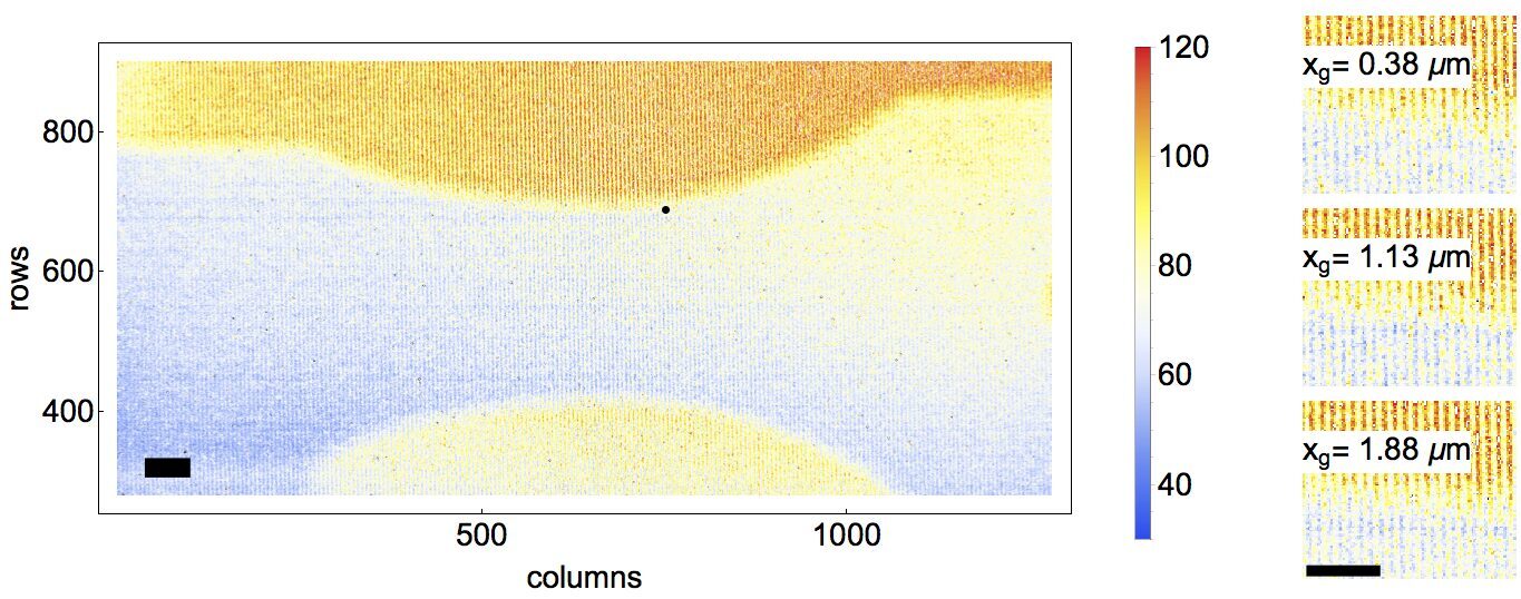 Neutron interferometry raw data showing fringe structure.